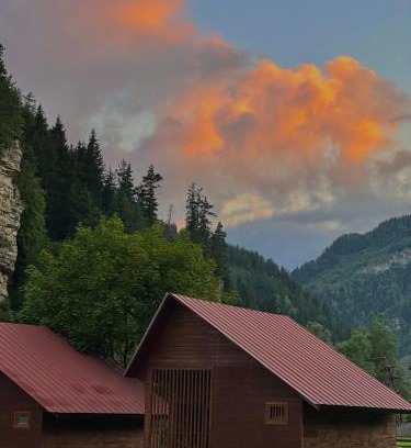 Tsromi Hotel | Kvela Cottage - ყველა კოტეჯი