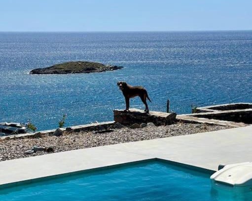 Kithnos Villa | Kythnos beachfront villa with swimming pool