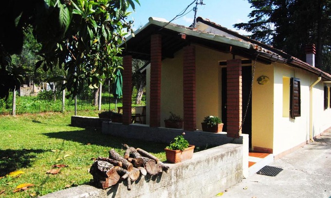 Lanciano House | L'albero delle noci