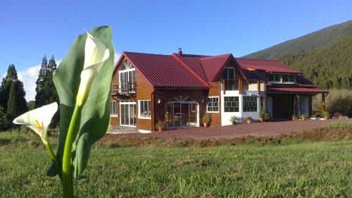 La Plaine-des-Palmistes Bed & Breakfast | L'Arum des Prairies