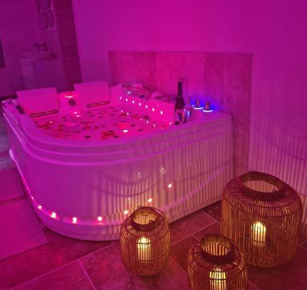 Veuzain-sur-Loire Apartment | L'audacieuse-Jacuzzi et sauna , miroir suspendu