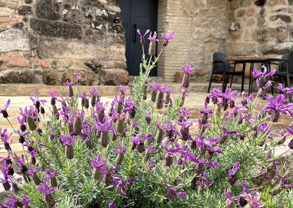 Andujar Apartment | La Bodega