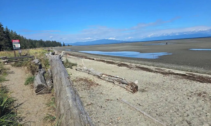 Regional District of Nanaimo House | La Cabaña - A Modern Sanctuary