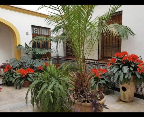 La Trinidad-San Juan y Todos los Santos Apartment | La casa de Tachi