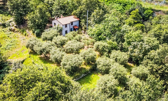 Rialto House | La casa del Fiume by Interhome