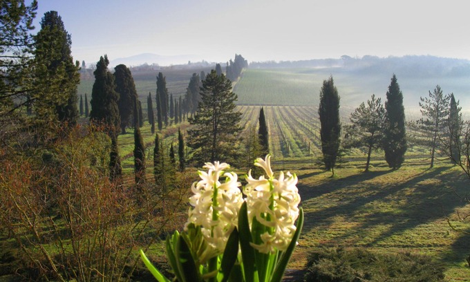 Santarello Apartment | LA CASALTA- GIRASOLE Apartment - In the green heart of Tuscany