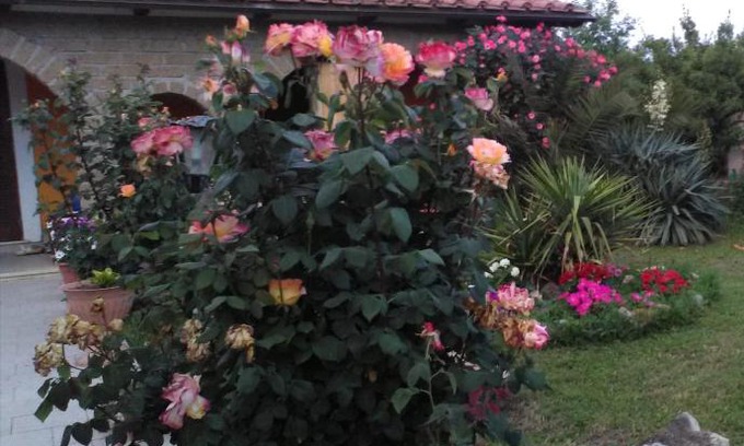 Lake Bracciano House | La casetta di samba