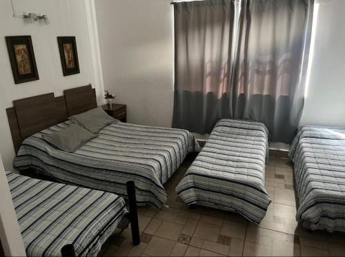 Salta House | La Encantada