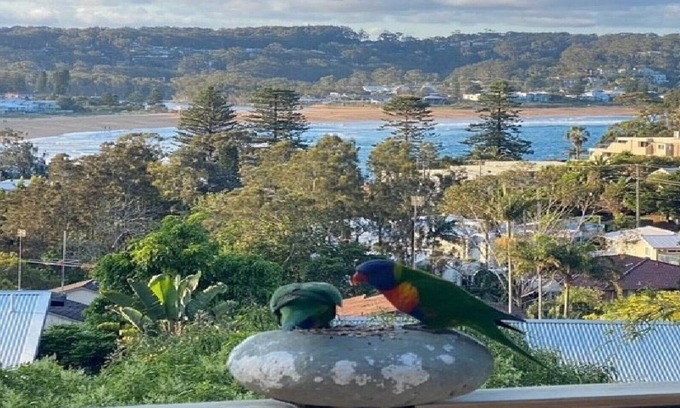 Avoca Beach House | La Gratitude - Short Walk to Beach, Great Views!