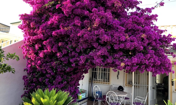 La Nucia House | La Nucia - quiet location with sea views