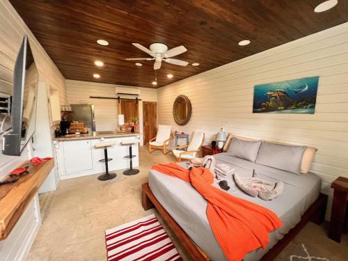 Caribbean Way House | La Vida Belize - Studio