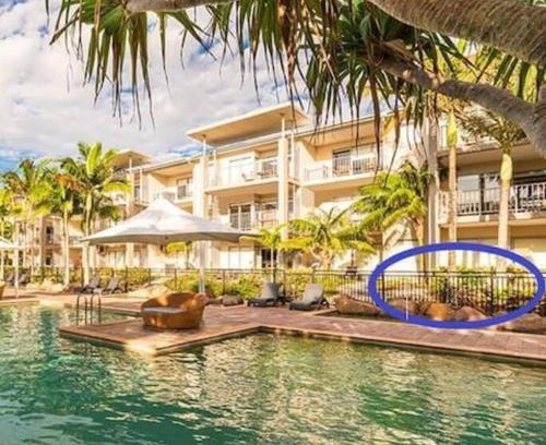 Kingscliff Apartment | Lagoon Pool Access Salt Resort & Spa 1br (Peppers)
