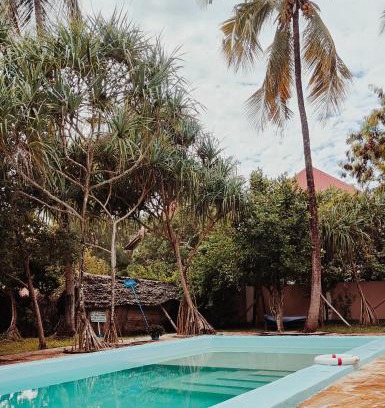 Michamvi Hotel | Laguna Palace Resort