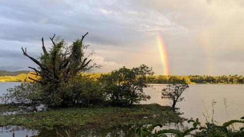 Ibbagamuwa House | Lake Front