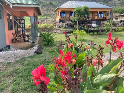 Lake Natron Bed & Breakfast | Lake Natron Maasai Guesthouse