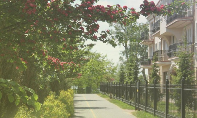 Elk Apartment | Lake View Villa