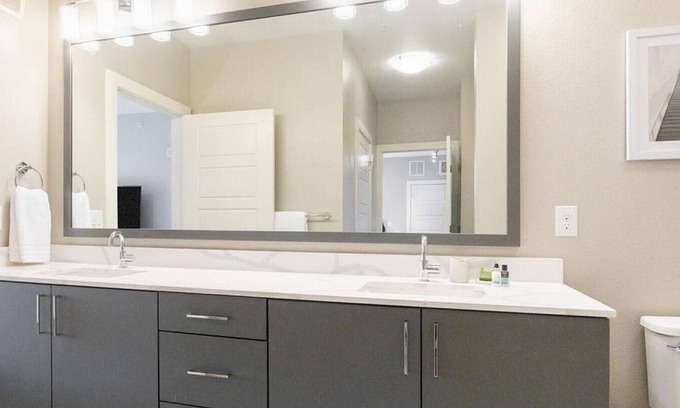 Addison Apartment | Landing at AMLI Addison - 1 Bedroom in Downtown Addison