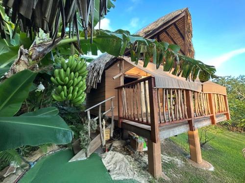 Vaitape Ski Chalet | Landing One Lodge