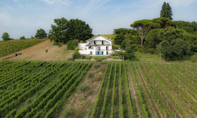 Cadillac Villa | Large designer villa with swimming pool and vineyard - Bordeaux Sud