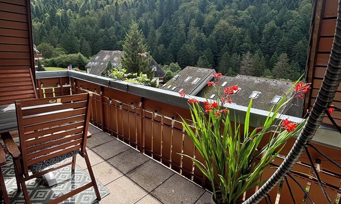 Todtmoos Apartment | Large Feldberg suite with balcony