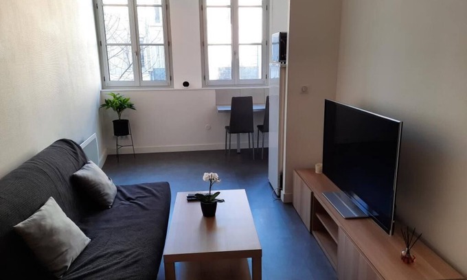 Faubourg North Apartment | Large, quiet T1 - Dijon center