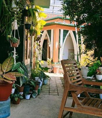 Kalipuro Hotel | Latansa Homestay