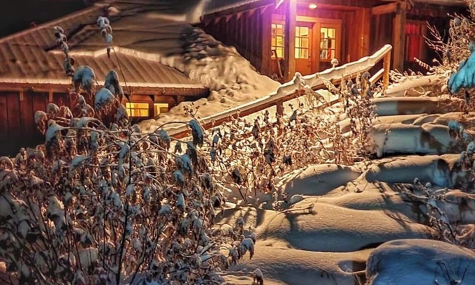 Salmon Arm Cabin | Lavender Cabin + Ski + Sauna + Group friendly in the Larch Hills + Salmon Arm