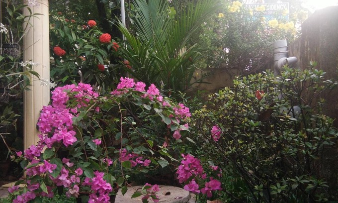 Fort Kochi Bed & Breakfast | Lazar Residency Homestay