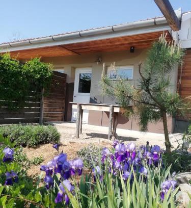 Debrecen House | Lazy Days