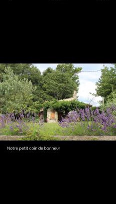 Mane House | Le Cabanon