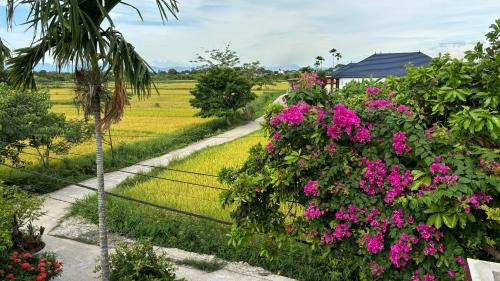 Trieu Phong House | Le Chung Mansion