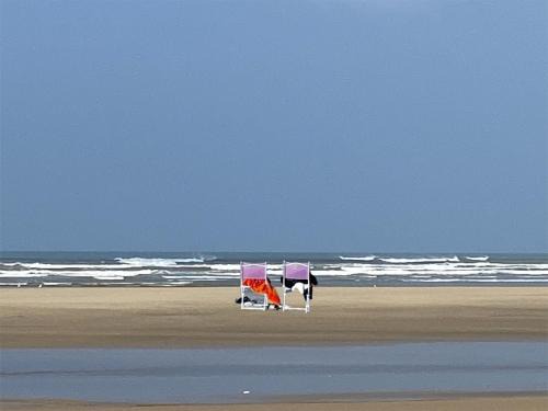 Saint-Trojan-les-Bains House | Le Cocon Gite ou chambre d'hôte