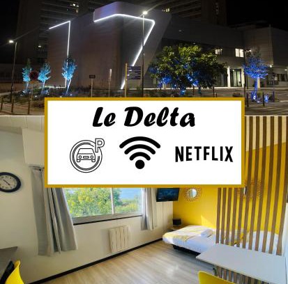 Les 3 Cites Apartment | Le Delta - Centre CHU - parking privé - Netflix
