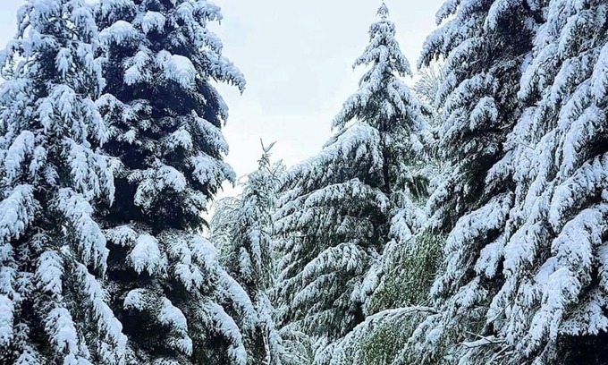 Saint-Quentin-sur-Sauxillanges Apartment | LE Domaine DU Bien Etre