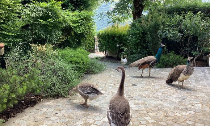 Toano Hotel | Le due querce