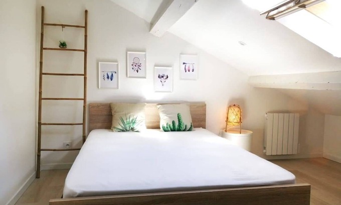 Santy - La Plaine Apartment | Le Petit Moselle - Metro Mermoz-Parc Parilly