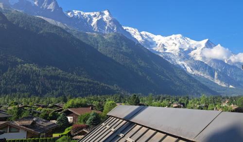 Les Praz-de-Chamonix Apartment | Le Top des Praz