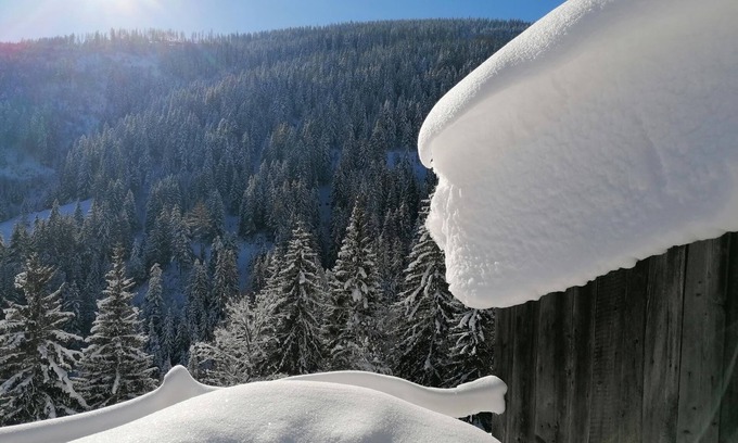 Donnersbach Apartment | Leitnerbauer`s Troadkasten - Appartement/fewo, Dusche, WC, 1 Schlafraum