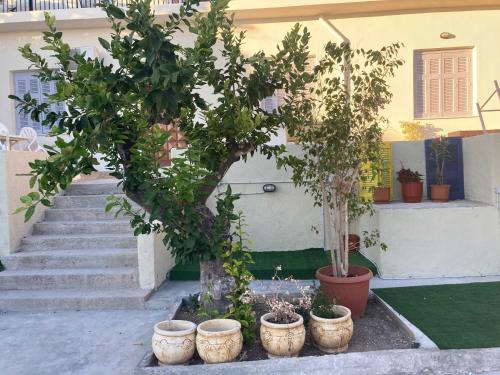 Agios Serafim Apartment | Lemonia