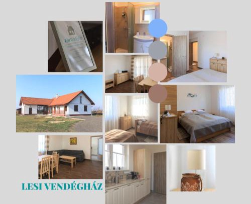 Hajduboszormeny Apartment | Lesi Vendégház