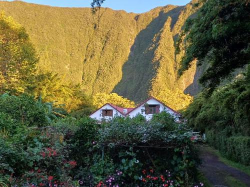 La Plaine-des-Palmistes House | Lit simple en chambre partagée au Domaine de Baradoz