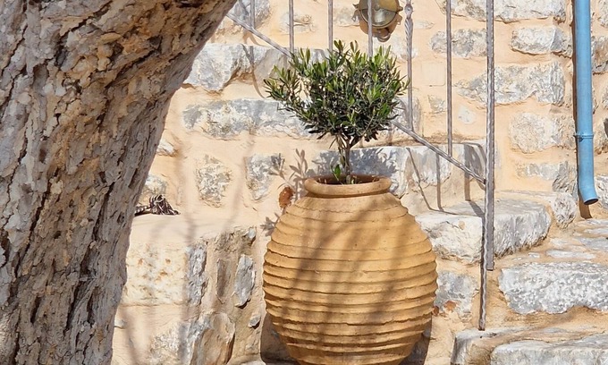 Omales Hotel | Lithos Stone Suites