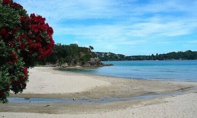 Oneroa Cottage | Little Oneroa - Little Oneroa Holiday Home