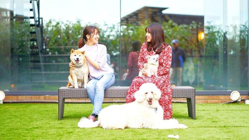 Yawatano Hotel | LiVEMAX Resort Izu Kogen Terrace & Spa