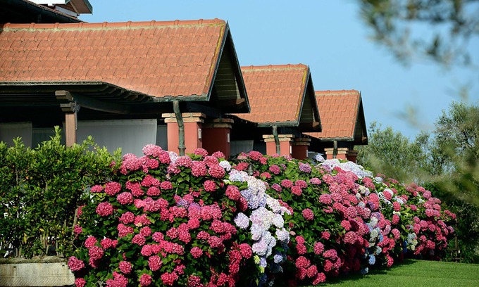 Marina di Montalto Apartment | Loft apartment 50 sqm