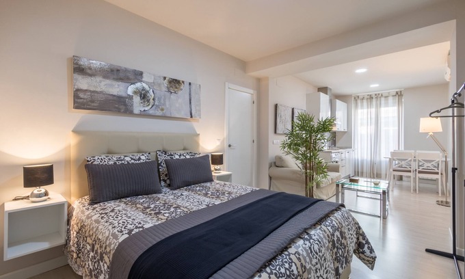 Granada City Center Apartment | LOFT IN THE CENTER OF GRANADA (RECOGIDAS)