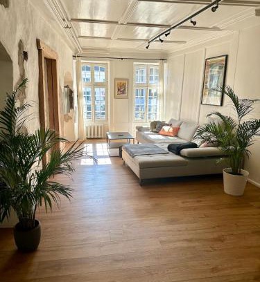 Thun House | Loftwohnung direkt am Thuner Rathausplatz