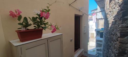 Sangineto Apartment | Lumira Vista - Borgo