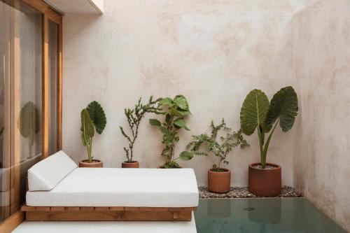 Barra de Colotepec Hotel | Lunaya