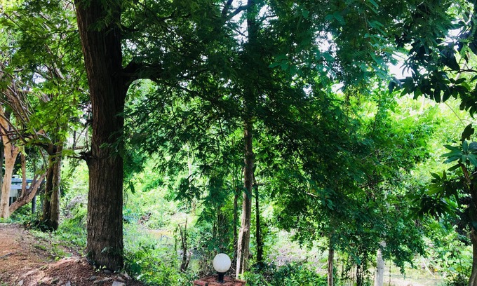 Song Phi Nong Hotel | LungYod Guesthouse